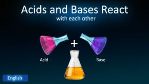 How do acids and bases react with each other